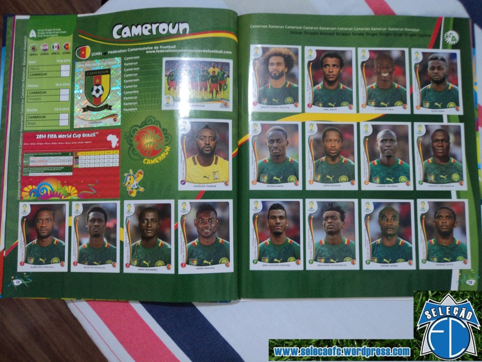 Seleção de Camarões na Copa 2014